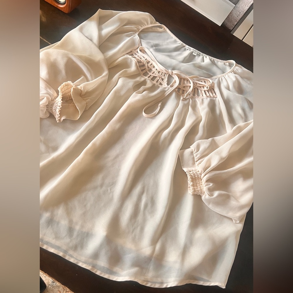 XL Daniel Rainn Blouse
